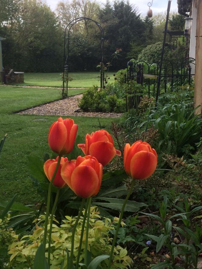 Woodacre B & B Arundel Exterior foto